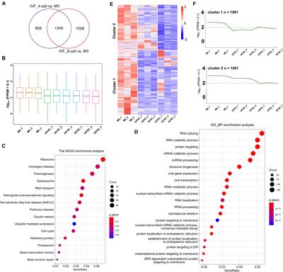 YTHDF2 Regulates Maternal Transcriptome Degradation and Embryo Development in Goat